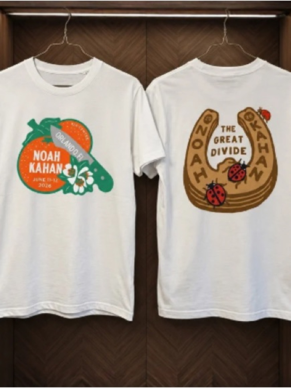 Noah Kahan Orlando FL The Great Divide Tour 2026 Orange Knife Ladybugs T-Shirt